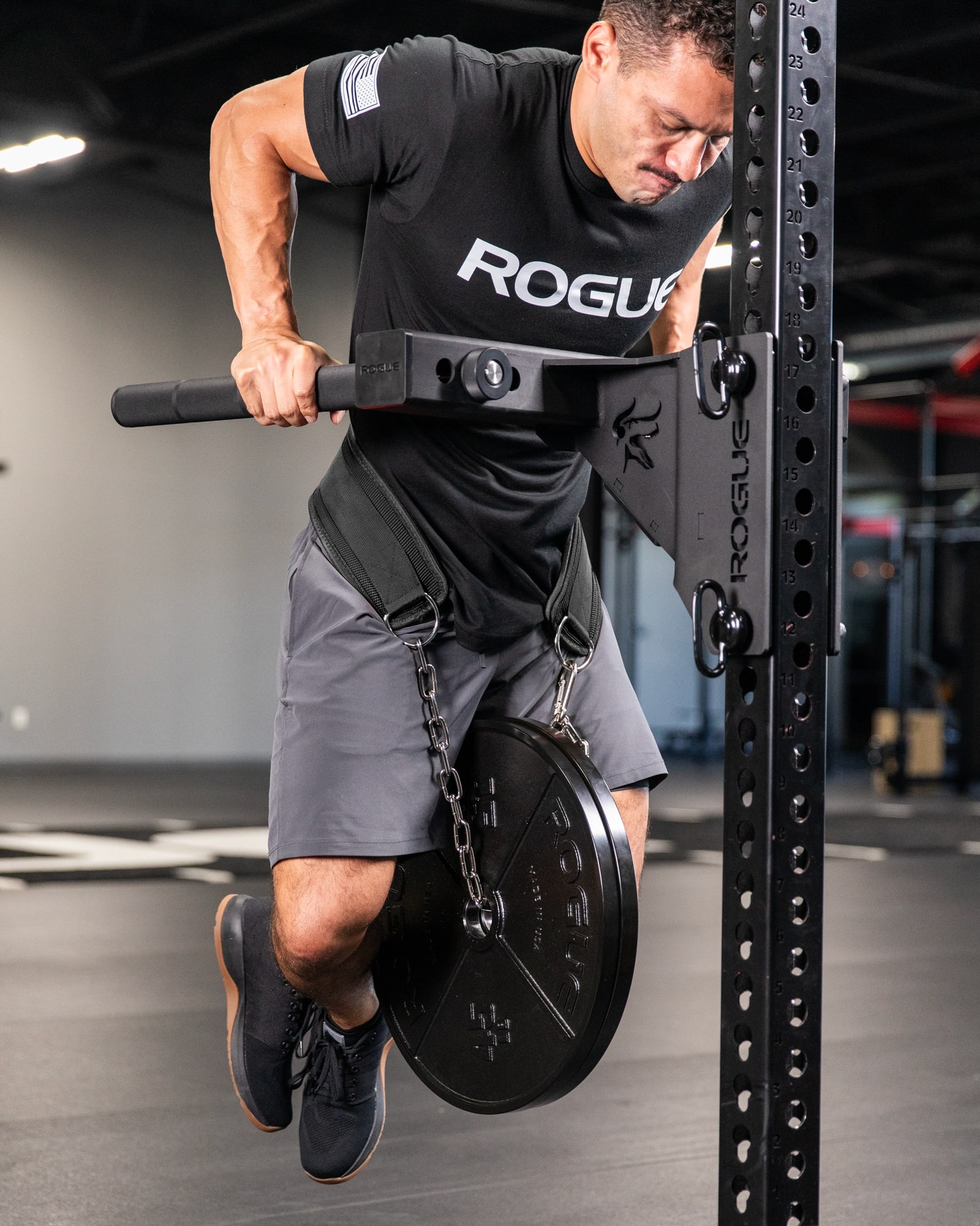 Rogue Echo Dip Belt – Durable Weighted Dip & Pull-Up Belt | Rogue